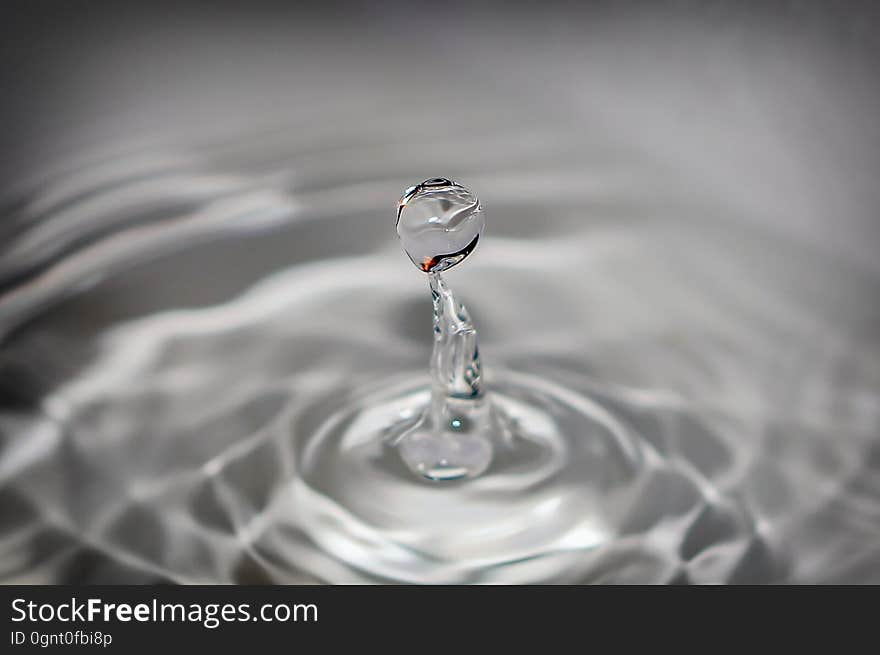 Water, Drop, Close Up, Macro Photography