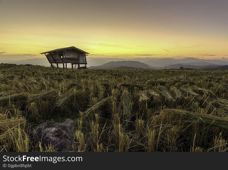 Rustic wooden house on stilts in agricultural field at sunset. Rustic wooden house on stilts in agricultural field at sunset.