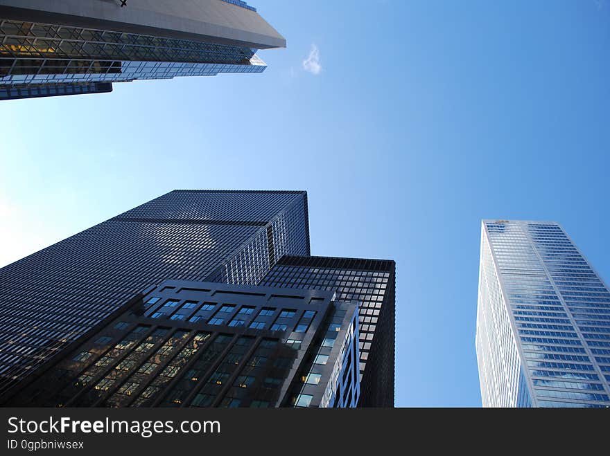 A low-angle view of city skyscrapers. A low-angle view of city skyscrapers.