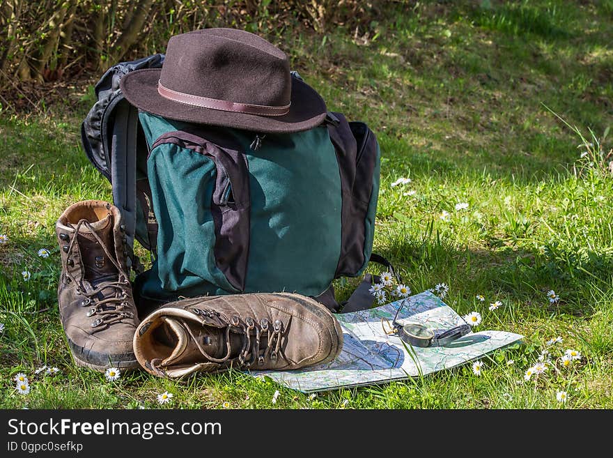 Grass, Plant, Sitting, Headgear