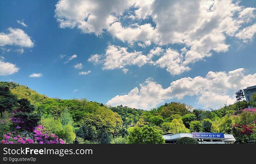 View from the ì²œì£¼ì²­í‰ìˆ˜ë ¨ì› å¤©å®™æ¸…å¹³ä¿®éŒ¬è‹‘ Cheongpyeong Heaven and Earth Training Center - - - - - - - - - - ì°¸çˆ¶æ¯ë‹˜ æ–‡é®®æ˜Žâ™¡éŸ“é¶´å­ - - - - - - - - - - True Parents&#x27; Seorak 2016 on flickr Instagram. View from the ì²œì£¼ì²­í‰ìˆ˜ë ¨ì› å¤©å®™æ¸…å¹³ä¿®éŒ¬è‹‘ Cheongpyeong Heaven and Earth Training Center - - - - - - - - - - ì°¸çˆ¶æ¯ë‹˜ æ–‡é®®æ˜Žâ™¡éŸ“é¶´å­ - - - - - - - - - - True Parents&#x27; Seorak 2016 on flickr Instagram