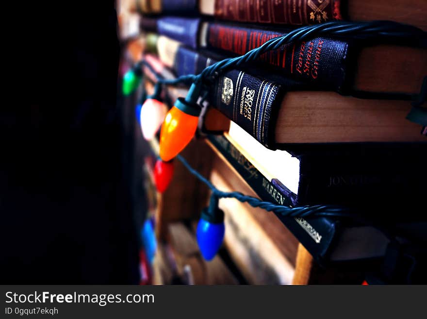 Hardcover books wrapped in Christmas lights.