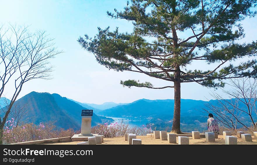 View from the ì²œì£¼ì²­í‰ìˆ˜ë ¨ì› å¤©å®™æ¸…å¹³ä¿®éŒ¬è‹‘ Cheongpyeong Heaven and Earth Training Center - - - - - - - - - - ì°¸çˆ¶æ¯ë‹˜ æ–‡é®®æ˜Žâ™¡éŸ“é¶´å­ - - - - - - - - - - True Parents&#x27; Seorak 2016 on flickr Instagram. View from the ì²œì£¼ì²­í‰ìˆ˜ë ¨ì› å¤©å®™æ¸…å¹³ä¿®éŒ¬è‹‘ Cheongpyeong Heaven and Earth Training Center - - - - - - - - - - ì°¸çˆ¶æ¯ë‹˜ æ–‡é®®æ˜Žâ™¡éŸ“é¶´å­ - - - - - - - - - - True Parents&#x27; Seorak 2016 on flickr Instagram