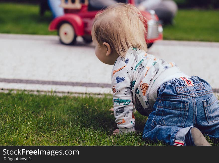 Toddler crawling through green grass toward red toy truck. Toddler crawling through green grass toward red toy truck.