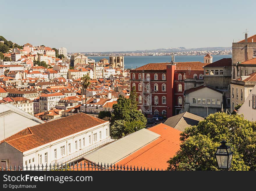 Overhead view of tile rooftops in coastal city on sunny day.