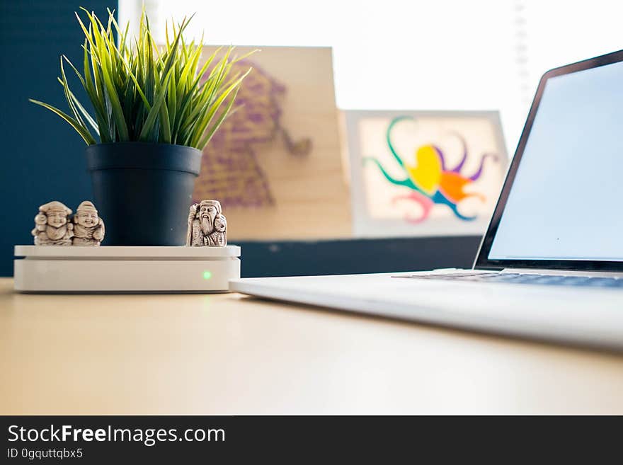 A close up of a laptop and a decorative plant on a table. A close up of a laptop and a decorative plant on a table.