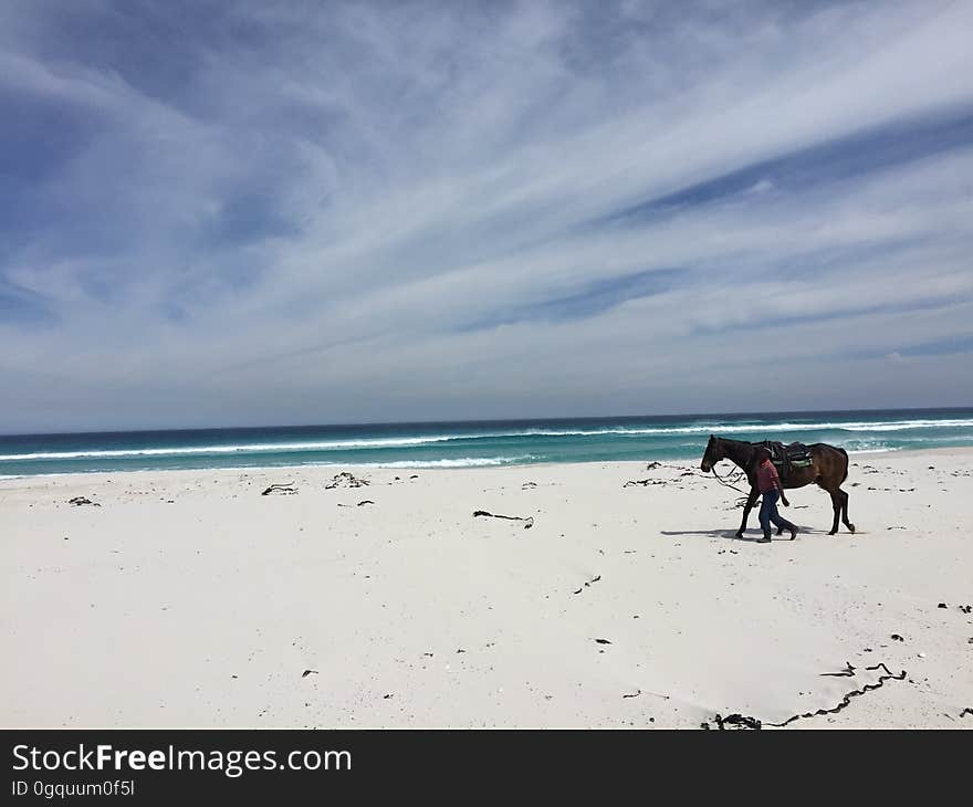 Southafrica-Cape town-Beach