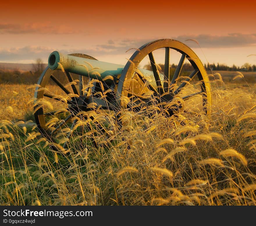 Ecosystem, Grass Family, Prairie, Field