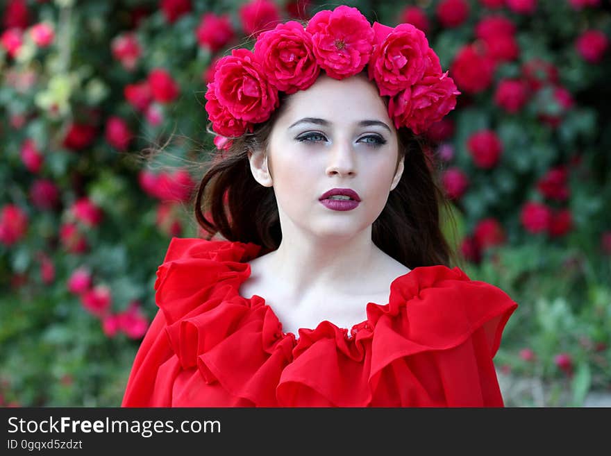 Flower, Red, Rose Family, Beauty