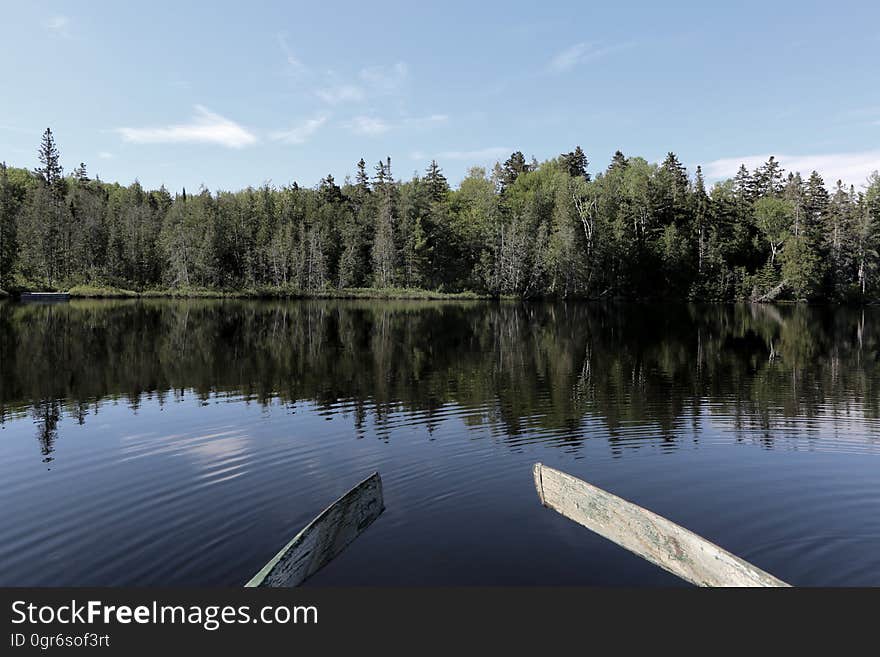 Rowing into the calm