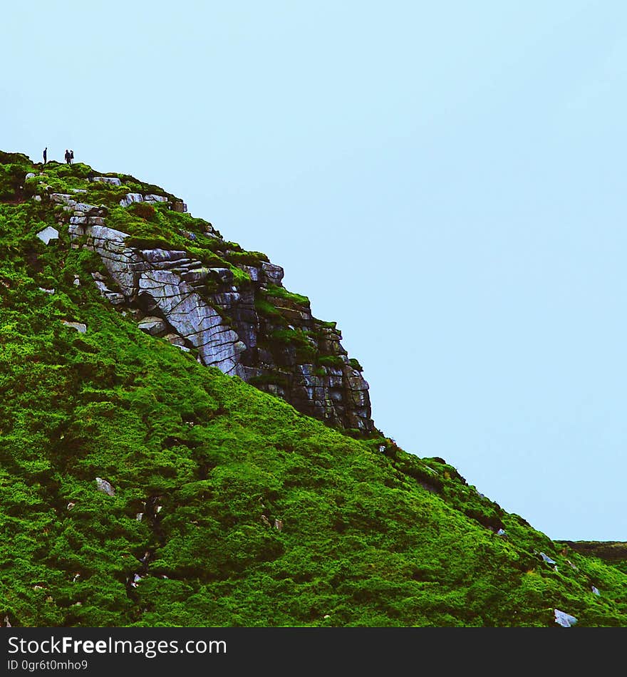 A rocky cliffside with vegetation on it.