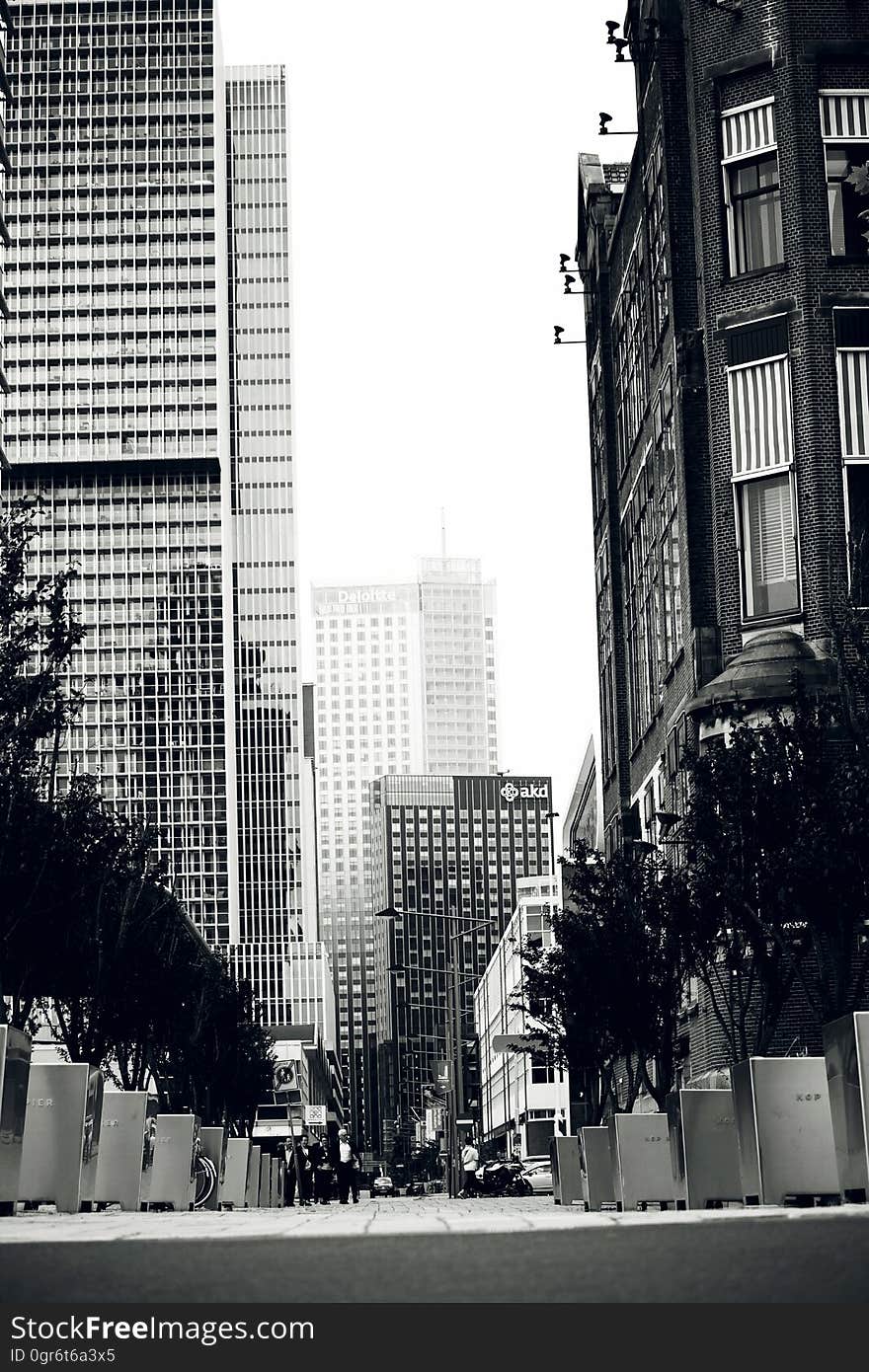 A view of the streets of Rotterdam, Netherlands, in black and white. A view of the streets of Rotterdam, Netherlands, in black and white.