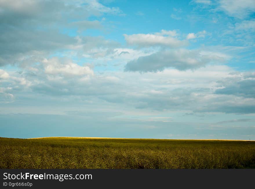 Green fields under blue skies with clouds.