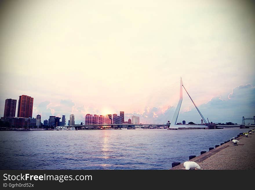 A view of the city of Rotterdam and the Erasmusbrug over Nieuwe Maas. A view of the city of Rotterdam and the Erasmusbrug over Nieuwe Maas.