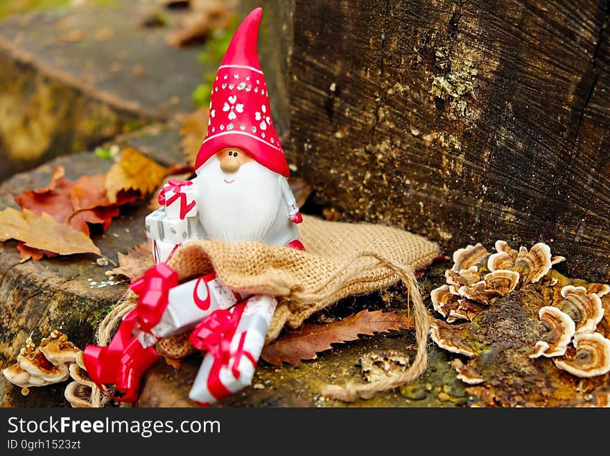 Close-up of Christmas Decoration