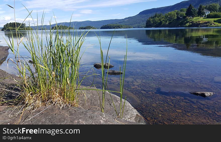 A lake with clear water in the summer. A lake with clear water in the summer.