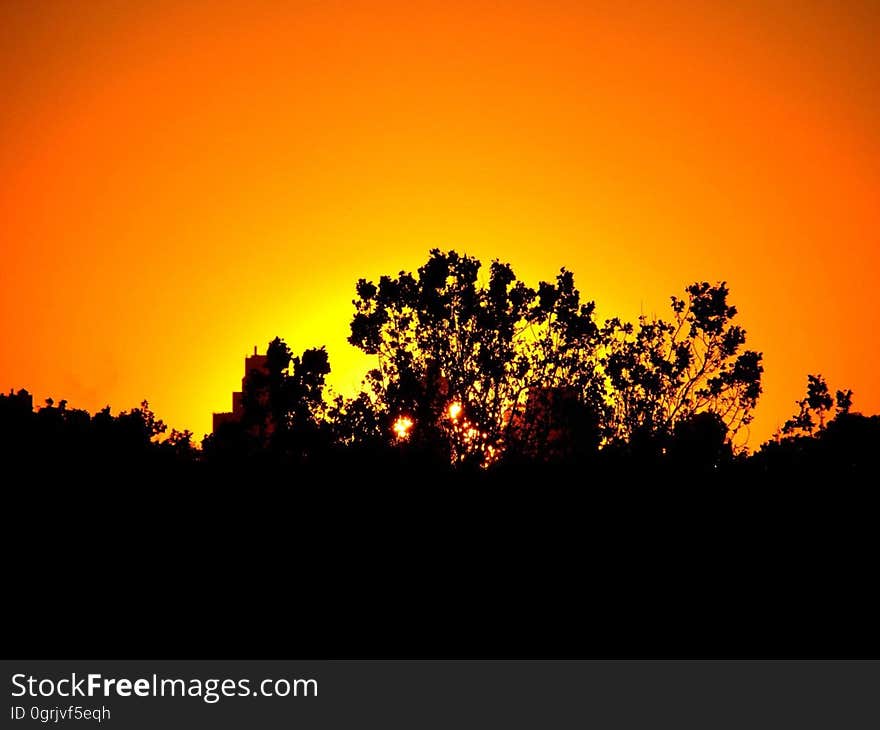 Sky, Nature, Yellow, Sunset