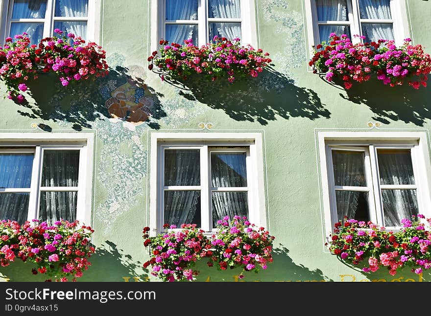 Red Pink Flower Hang on the Windows