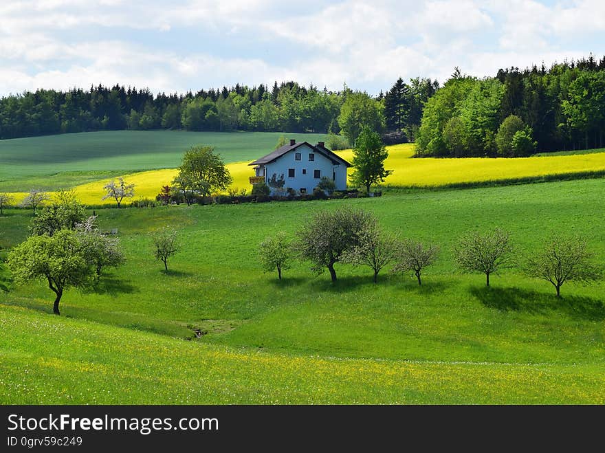 A country house with green yards and fields with crops. A country house with green yards and fields with crops.