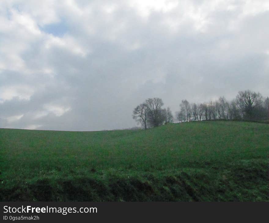 Cloud, Sky, Plant, Natural landscape, Vegetation, Land lot