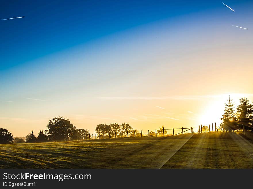 Sunrise on a green meadow with rays of sunlight coming from behind the trees. Sunrise on a green meadow with rays of sunlight coming from behind the trees.