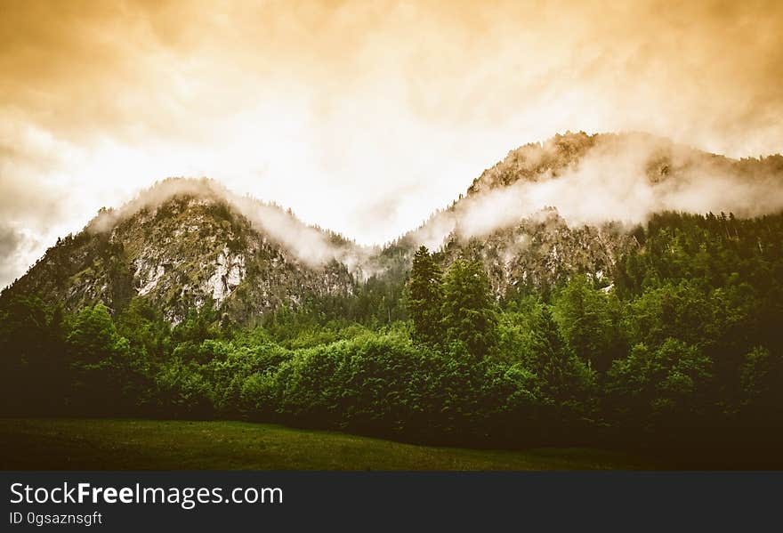 Scenic view of forest with misty mountain range in background at sunset. Scenic view of forest with misty mountain range in background at sunset.