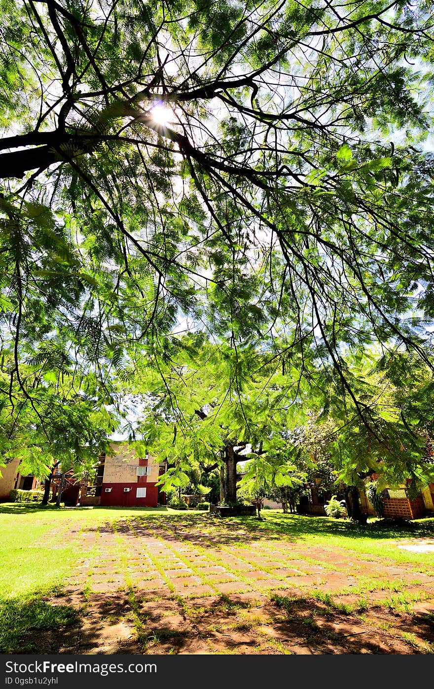 Siesta de plaza de barrio. Siesta de plaza de barrio