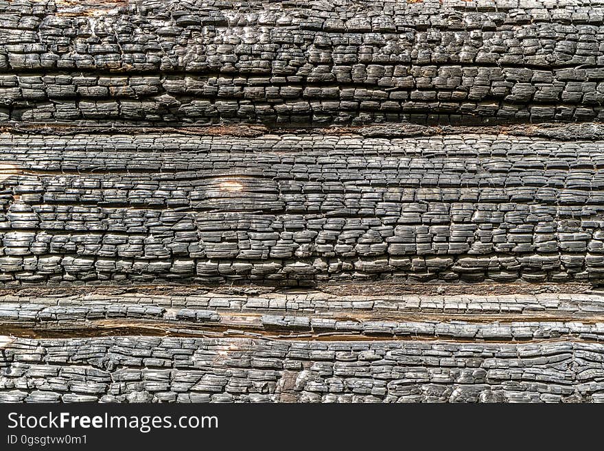 Texture burnt wood, charred logs