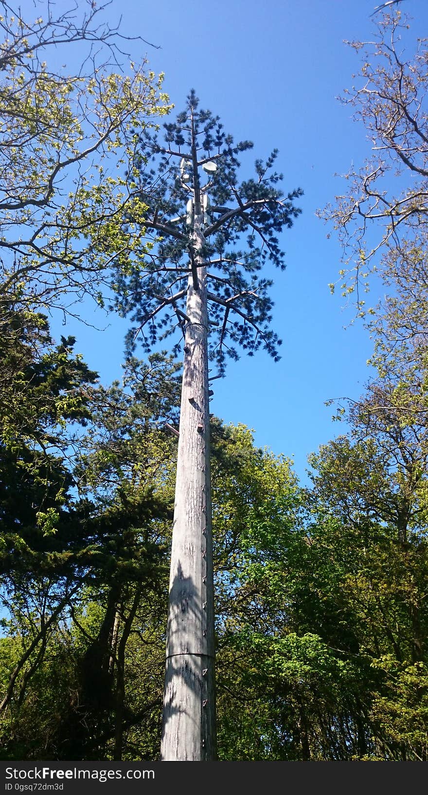 Phone mast