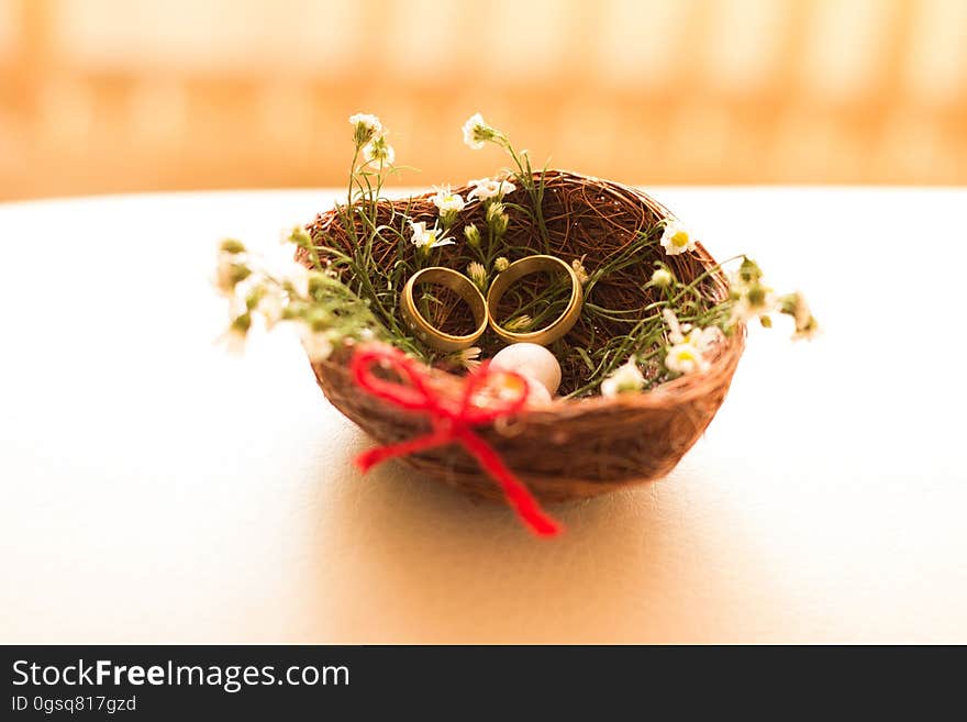 Birds nest with gold rings and wildflowers on table with red bow. Birds nest with gold rings and wildflowers on table with red bow.