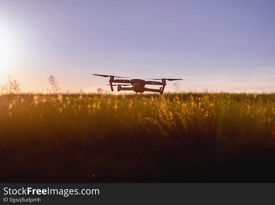 Quadcopter drone flying over rural field of wildflowers at sunset. Quadcopter drone flying over rural field of wildflowers at sunset.