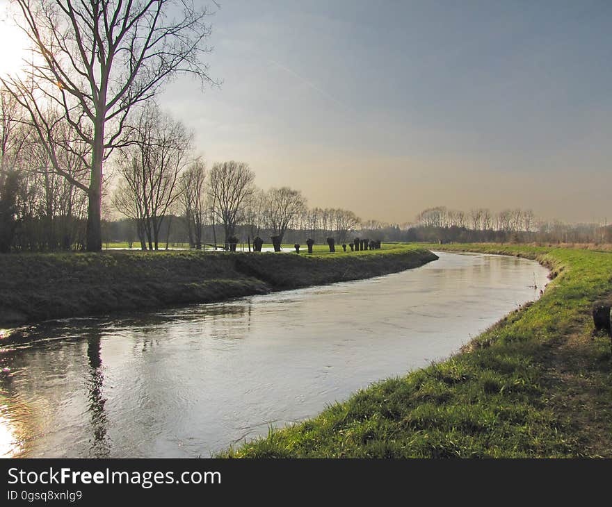 Water, Sky, Plant, Water resources, Natural landscape, Fluvial landforms of streams