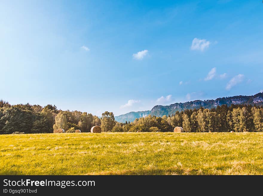 Hay bales in field in countryside on sunny day. Hay bales in field in countryside on sunny day.