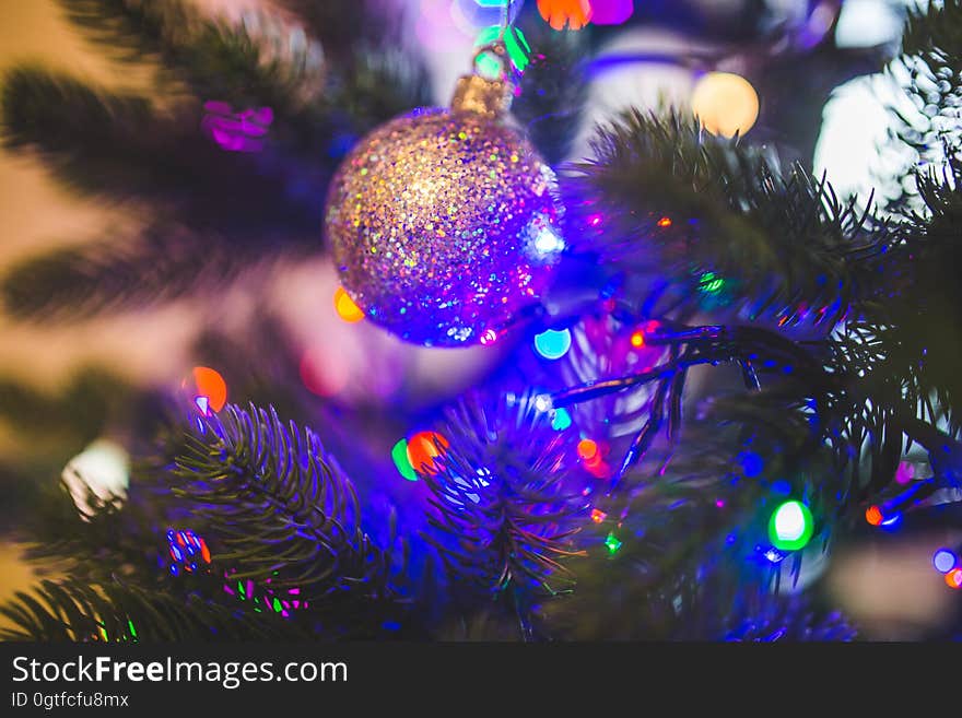 Christmas Ball on Green Christmas Tree