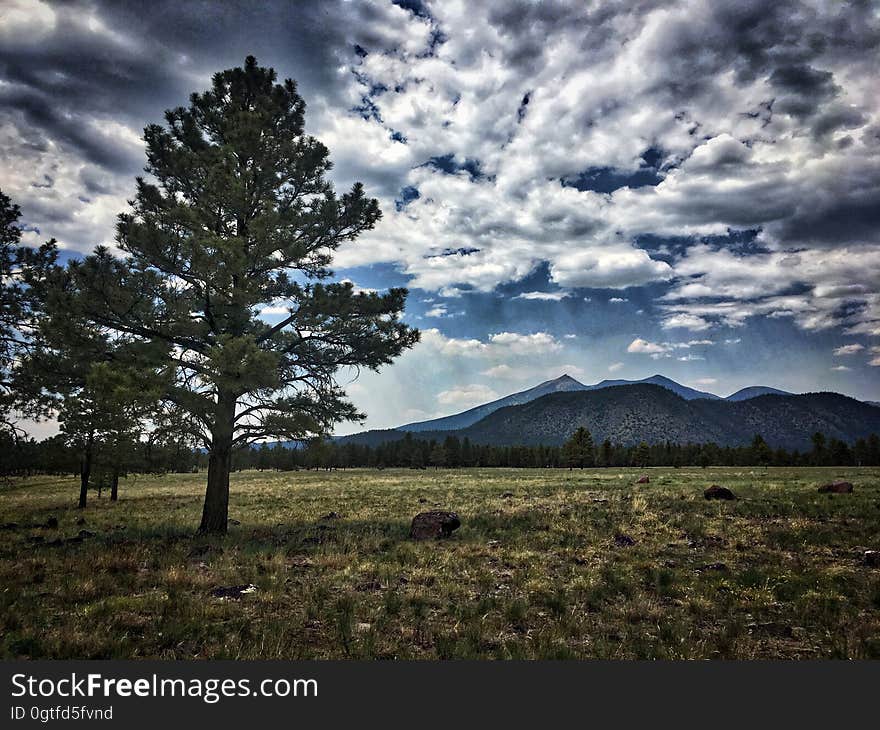 Highest point in Arizona, Mt Humphries at 12,600&#x27; viewed from Buffalo Park in Flagstaff. Highest point in Arizona, Mt Humphries at 12,600&#x27; viewed from Buffalo Park in Flagstaff.