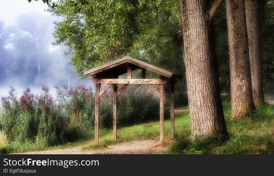 Brown Wooden Gazebo Beside Tree