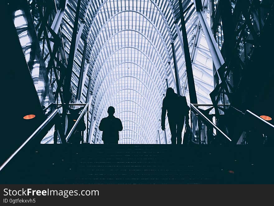 Silhouette of people on stairs in modern airport building. Silhouette of people on stairs in modern airport building.