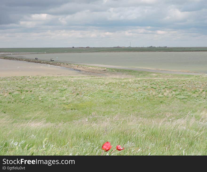 Cloud, Sky, Water, Ecoregion, Plant, Natural environment