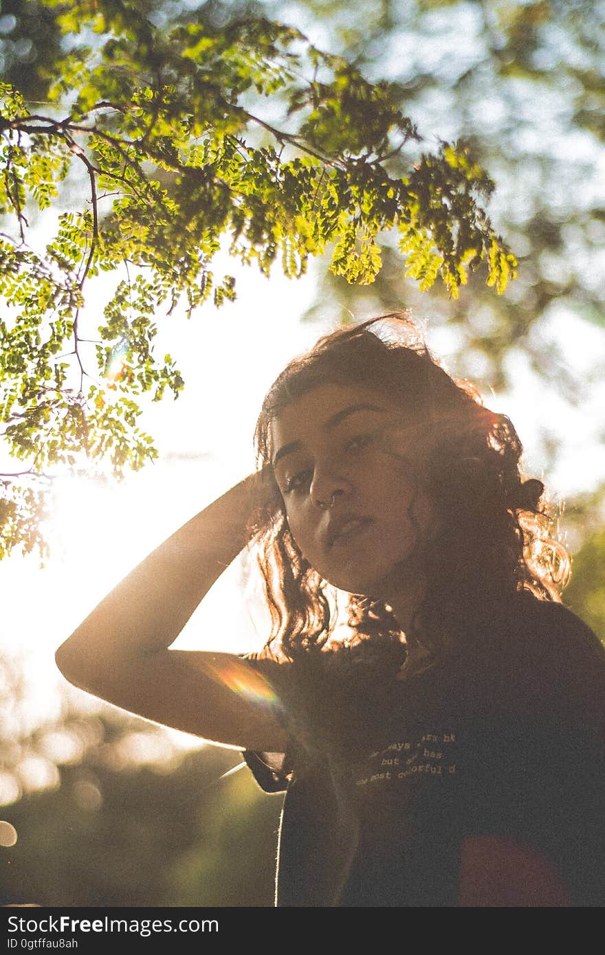 A woman under a tree in a park at sunset. A woman under a tree in a park at sunset.