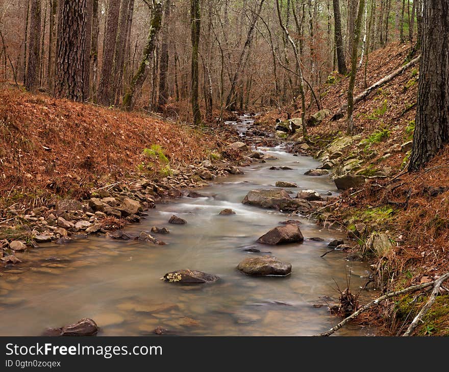 Stream Running Through Forrest In Arkansas