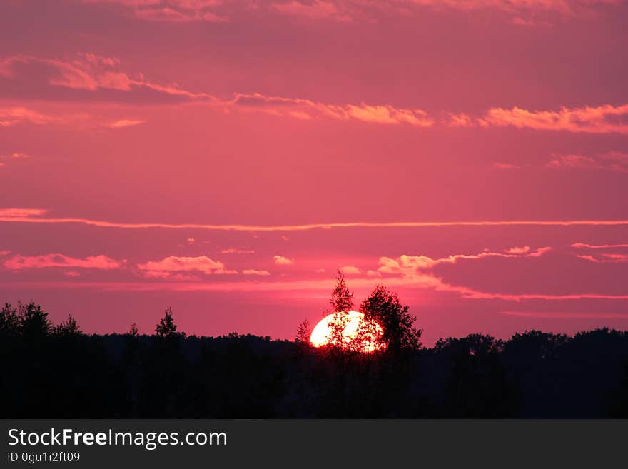 Silhouette of trees in landscape against red sunset in skies. Silhouette of trees in landscape against red sunset in skies.