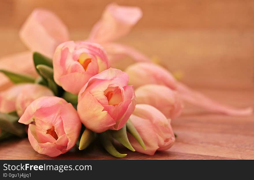 Close-up of Pink Flower Bouquet