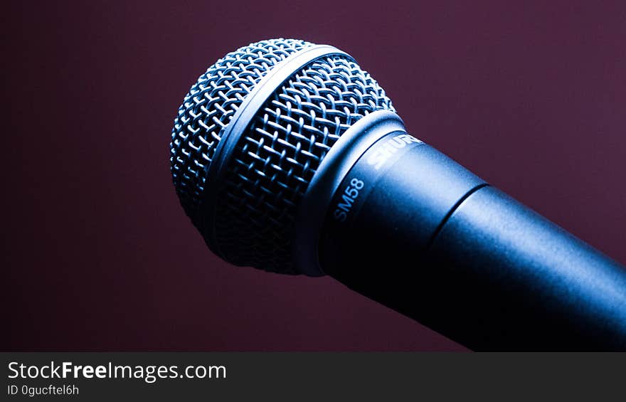 Black Dynamic Microphone