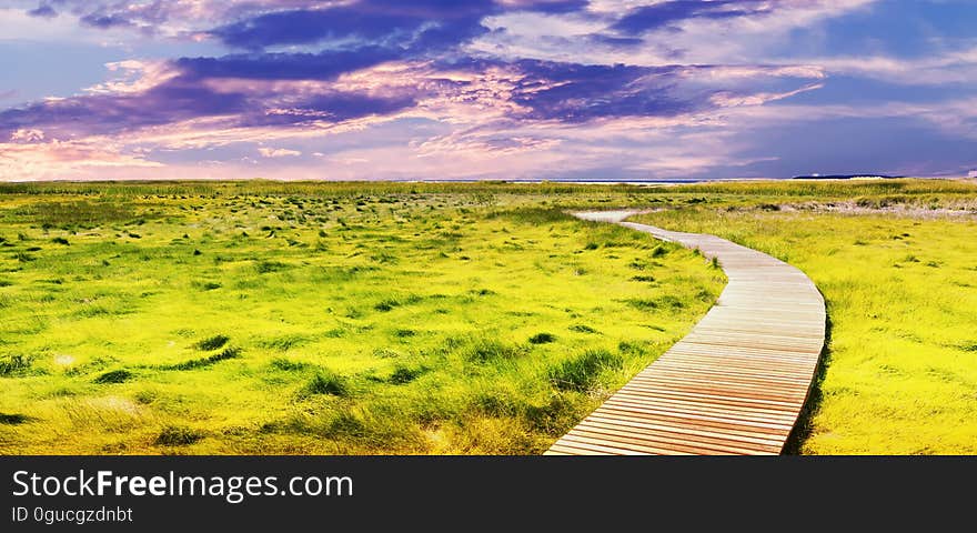 A boardwalk passing through a marsh or wetlands. A boardwalk passing through a marsh or wetlands.