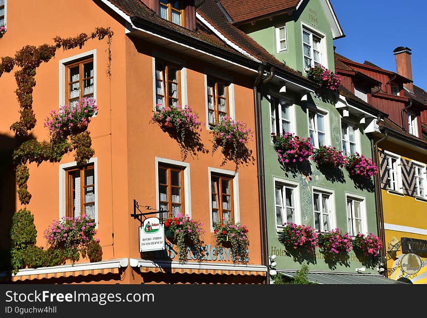 Pink Petaled Flower Hanged on Window on House