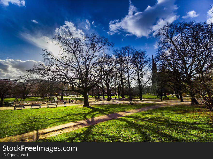 A view of a park with green fields and blue skies. A view of a park with green fields and blue skies.