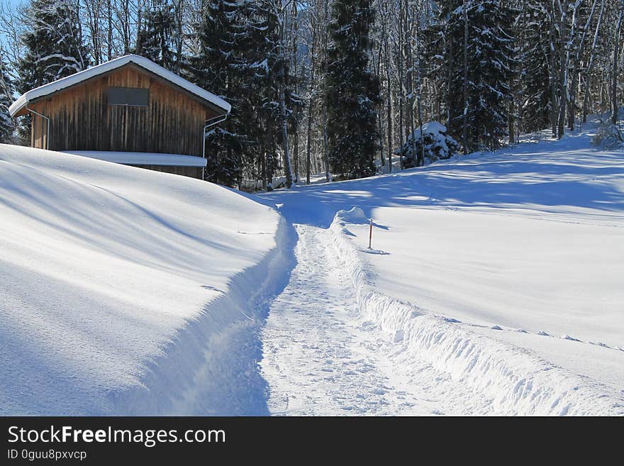 A footpath through a snowy yard in the winter. A footpath through a snowy yard in the winter.