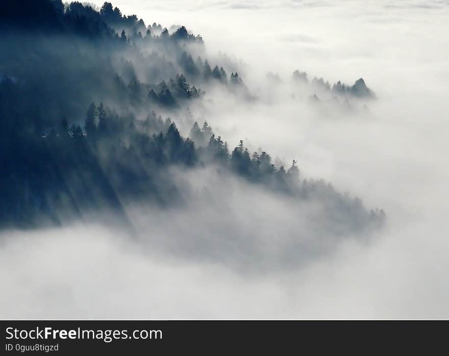 Mountain With Green Leaved Trees Surrounded by Fog during Daytime