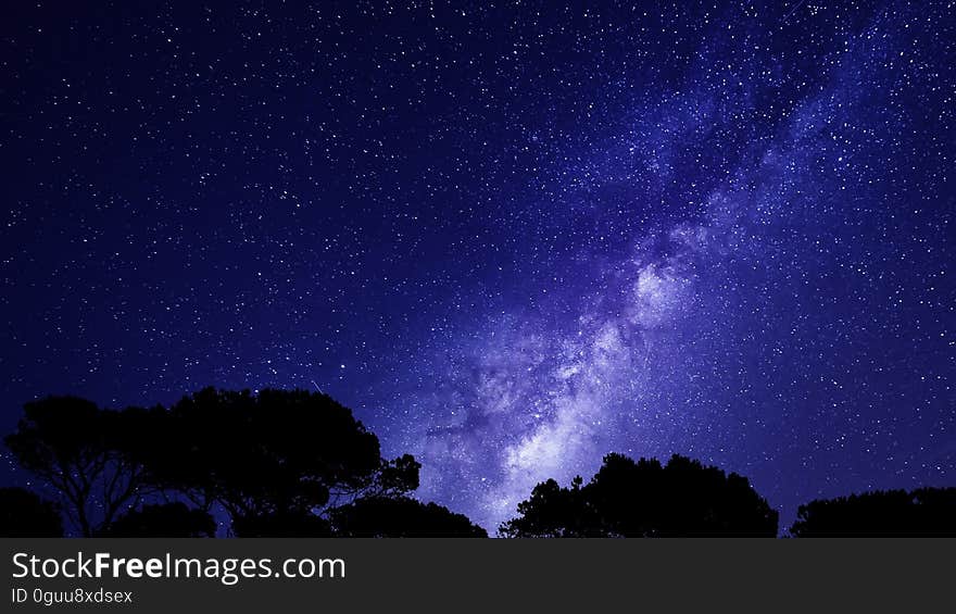 A night view of a starry sky with the milky way.