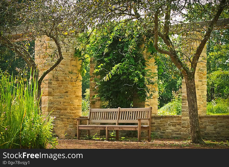 Bench Between the Two Trees